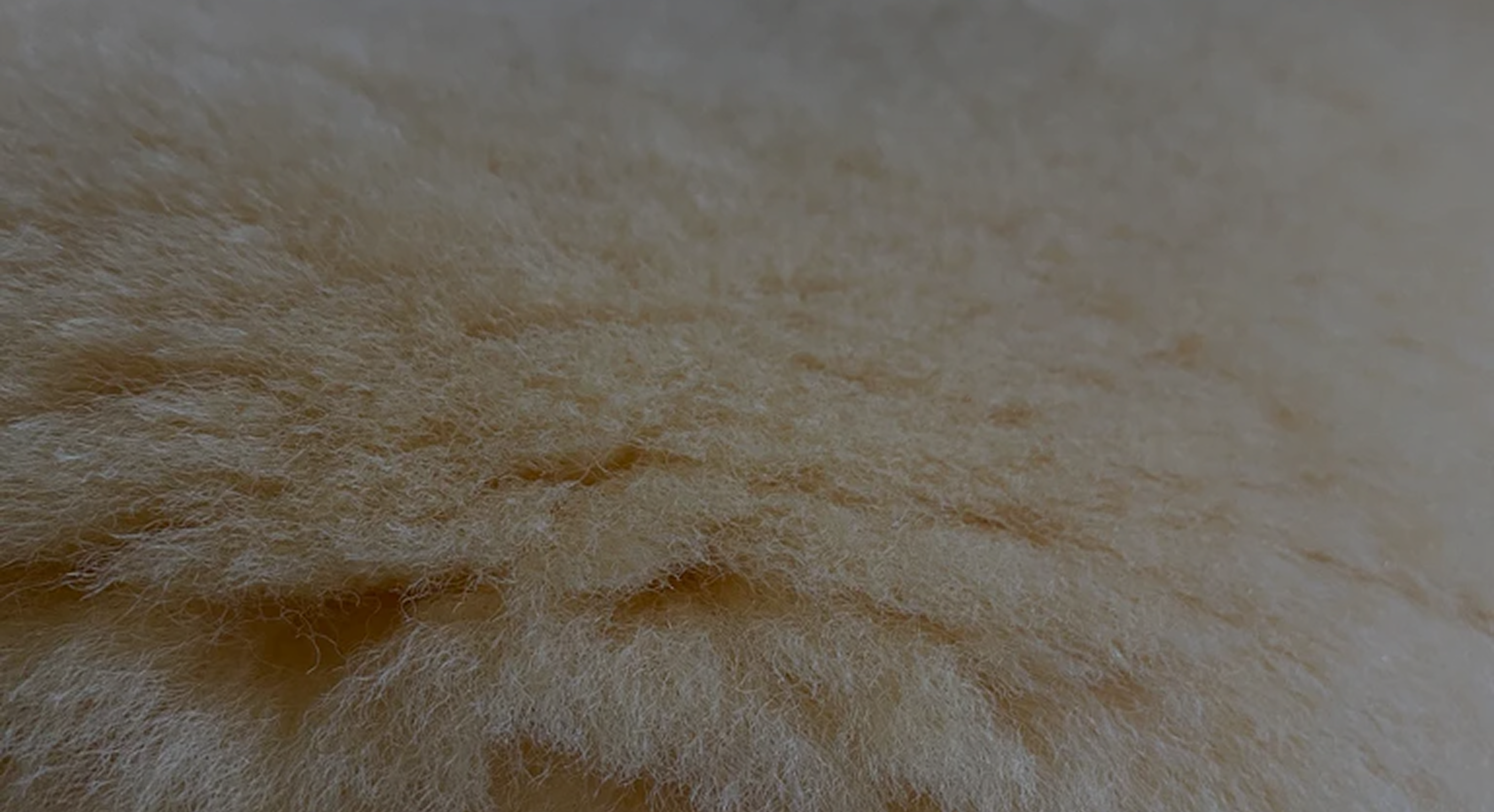 <p>Soft, durable sheepskin products </p><p>to keep your dog cozy and </p><p>content.</p>