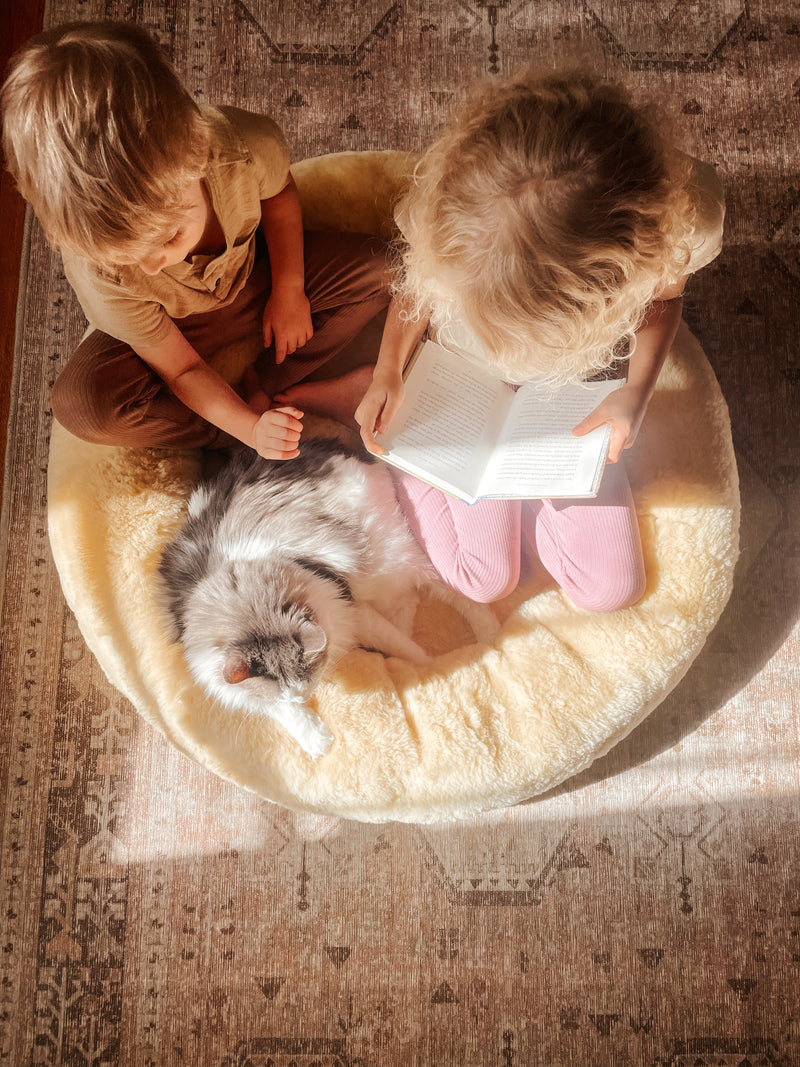 Meltdowns & Sheepskins:  How Sheepskins Are Helping Children Regulate