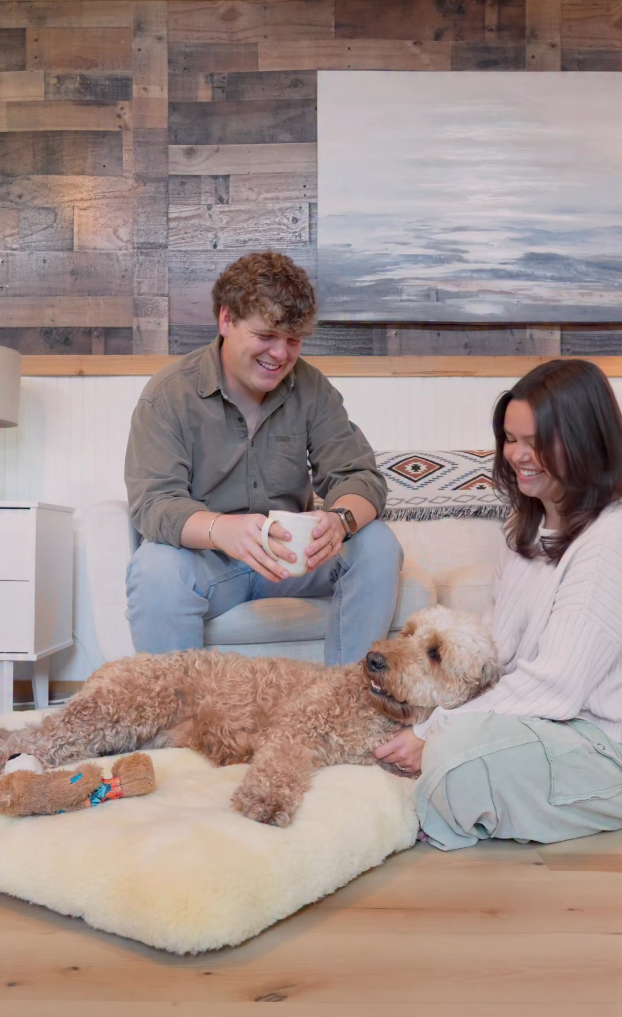 How to Get Your Dog to Use Their Bed: Training Tips