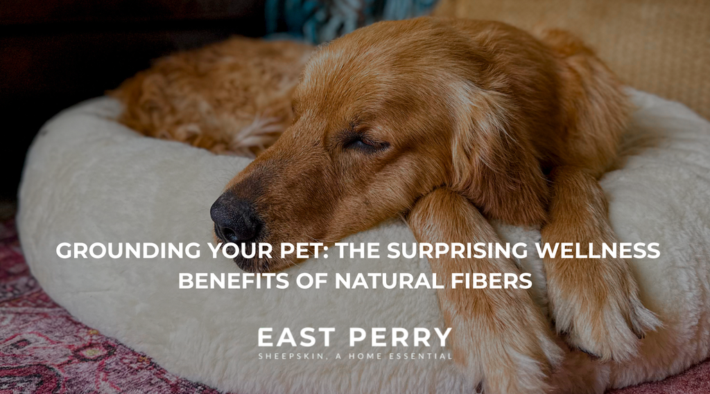 Grounding Your Pet: The Surprising Wellness Benefits of Natural Fibers