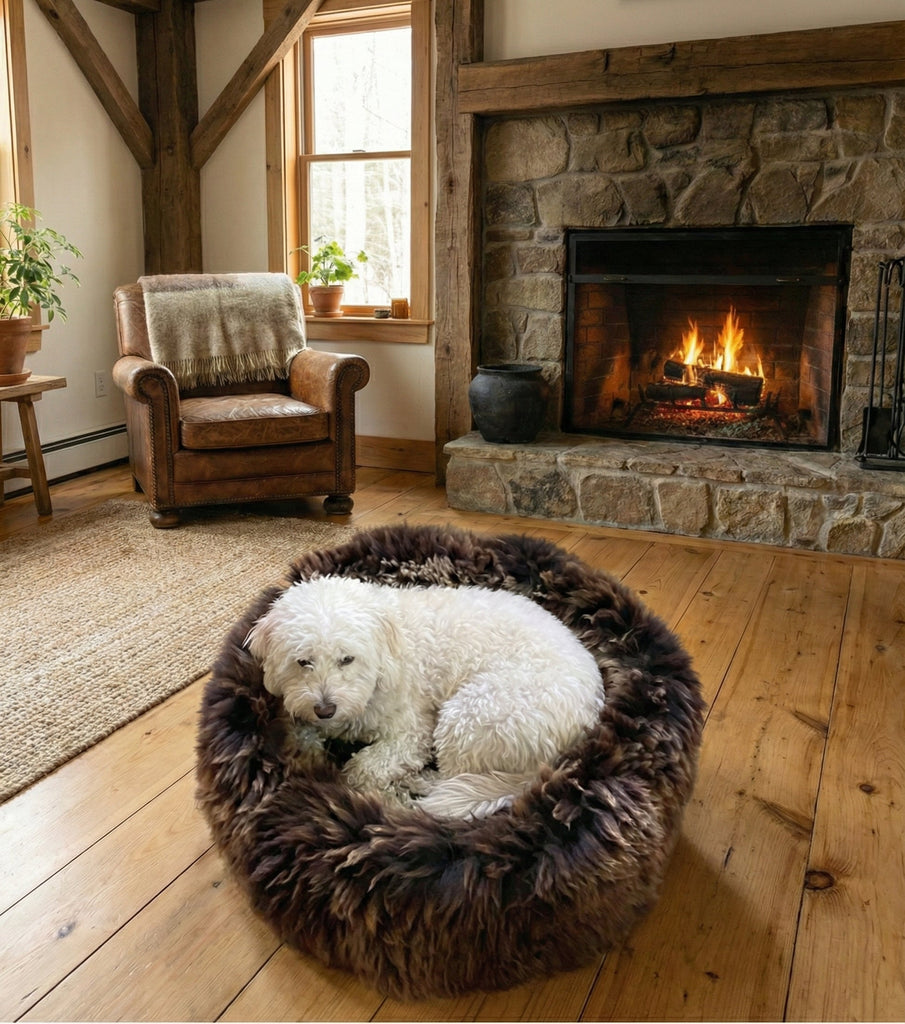 The Ultimate Guide to Non-Toxic Dog Beds: Why Natural Wool & Sheepskin is Safer Than Foam
