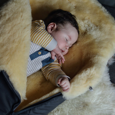 Medical Sheepskin Baby / Toddler Sleeping Bag