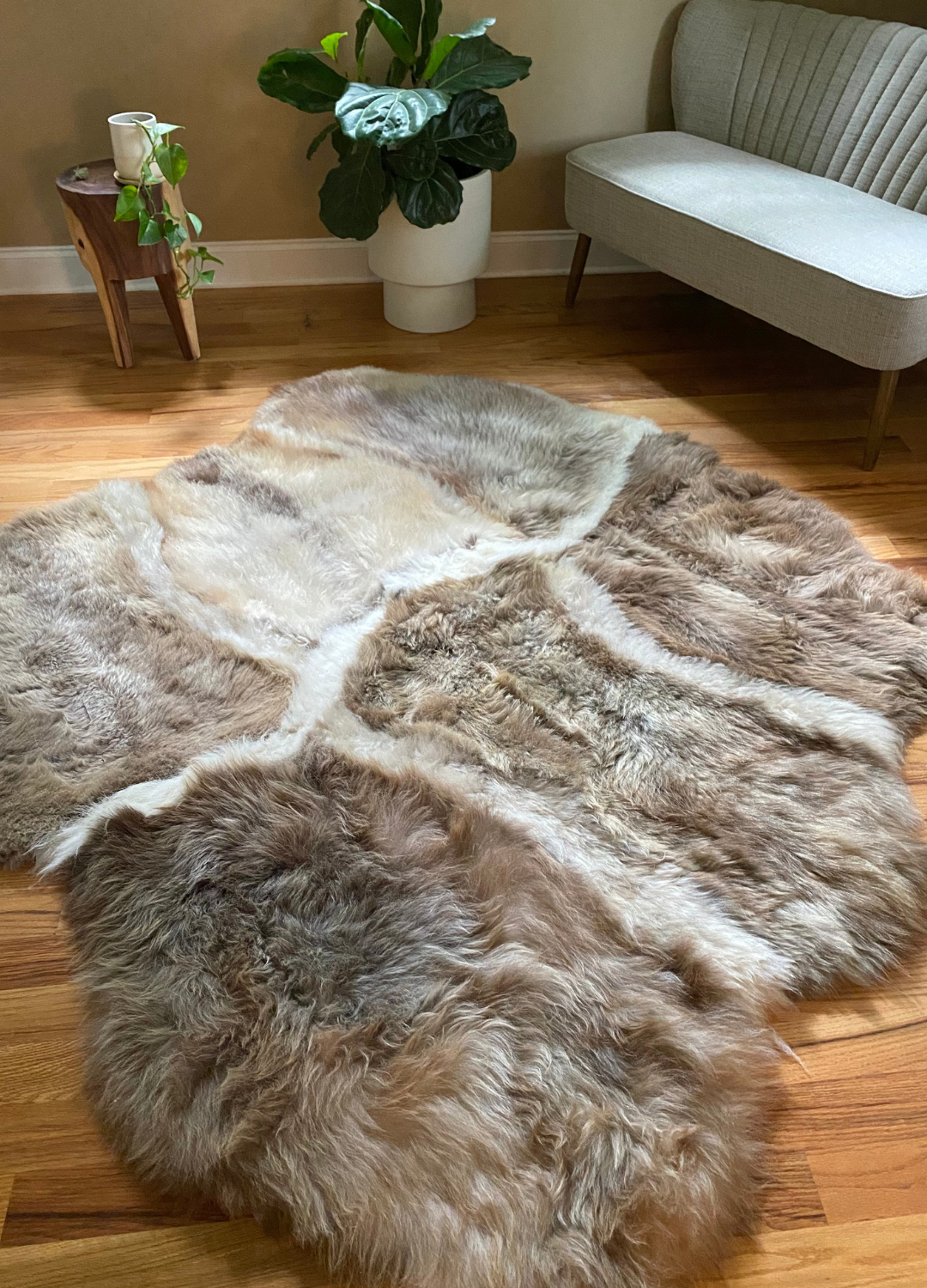 Sexto Sheepskins