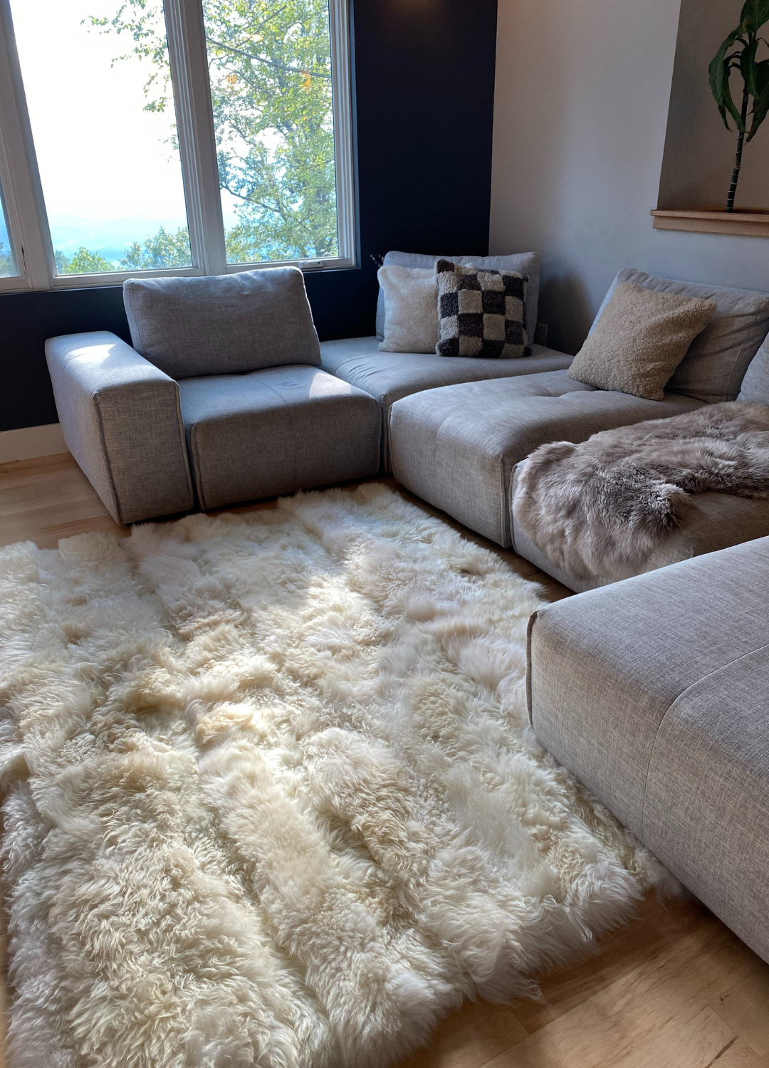 Area Rugs