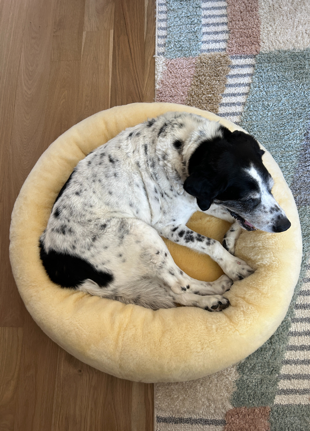 Sheepskin Dog Beds