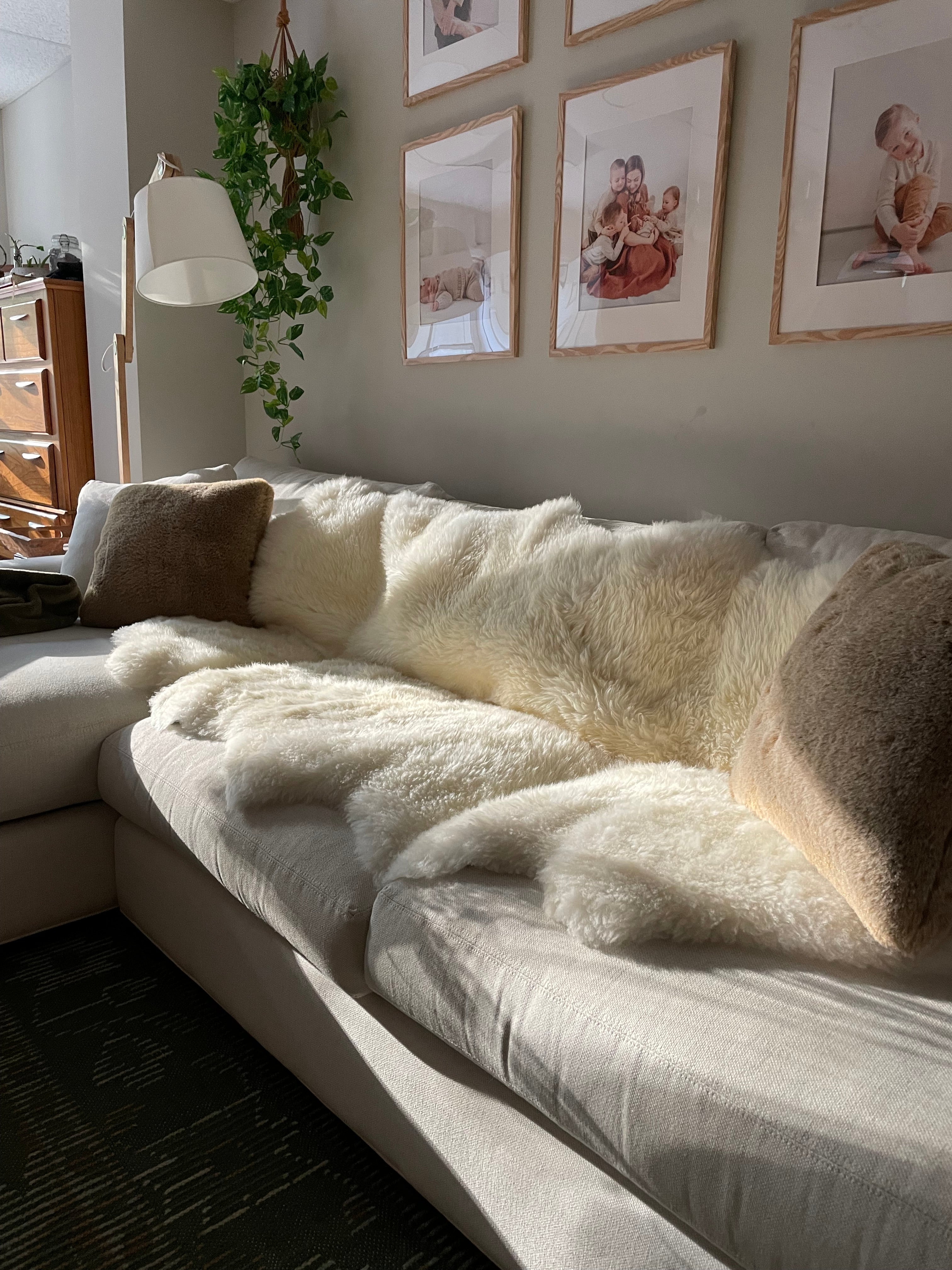 Plush Quad (4-Pelt) Ivory Sheepskin