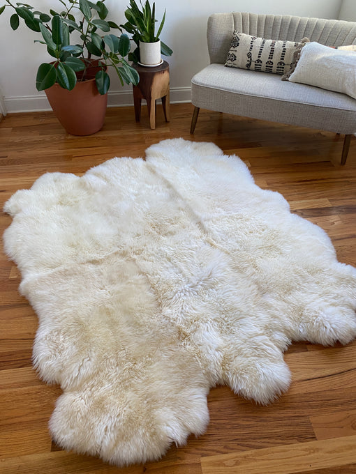 Sacred Spaces: Plush Ivory Sexto