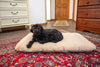 A small black dog rests on the East Perry PupPad, a natural wool dog bed, atop a colorful patterned rug in a room with wooden furniture and a closed wooden door in the background.