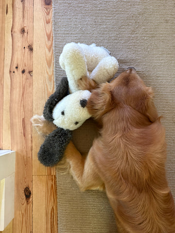 Marlow: Natural Sheepskin Dog Buddy