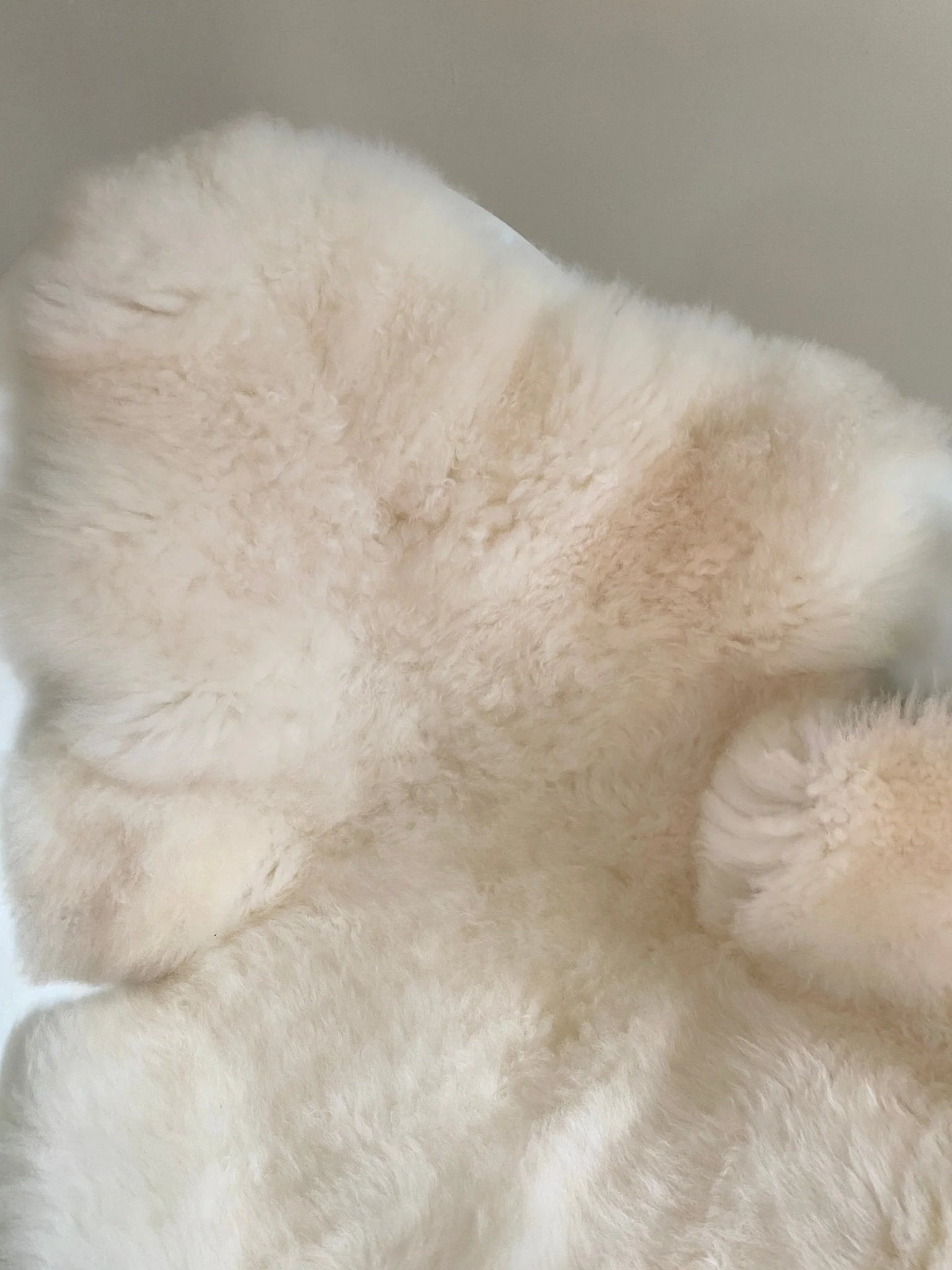 Close-up of classic ivory sheepskin