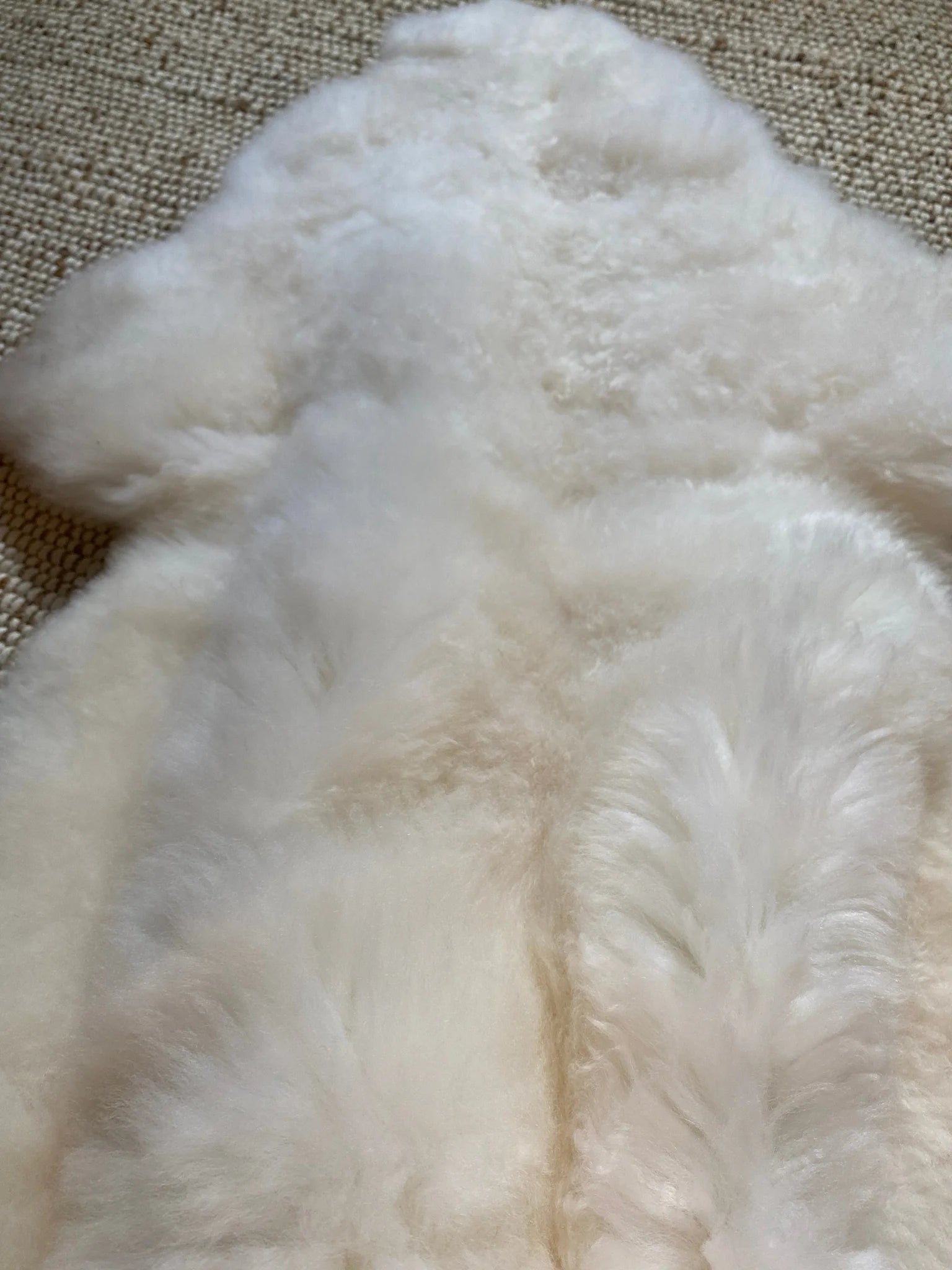 Close-up of classic ivory sheepskin