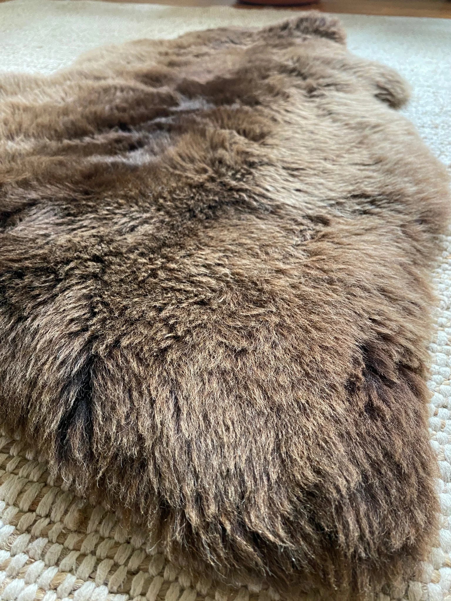 Close-up of classic light brown sheepskin 
