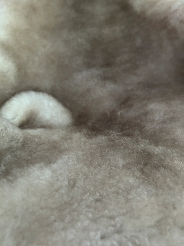 Texture of greyish brown shortfur sheepskin