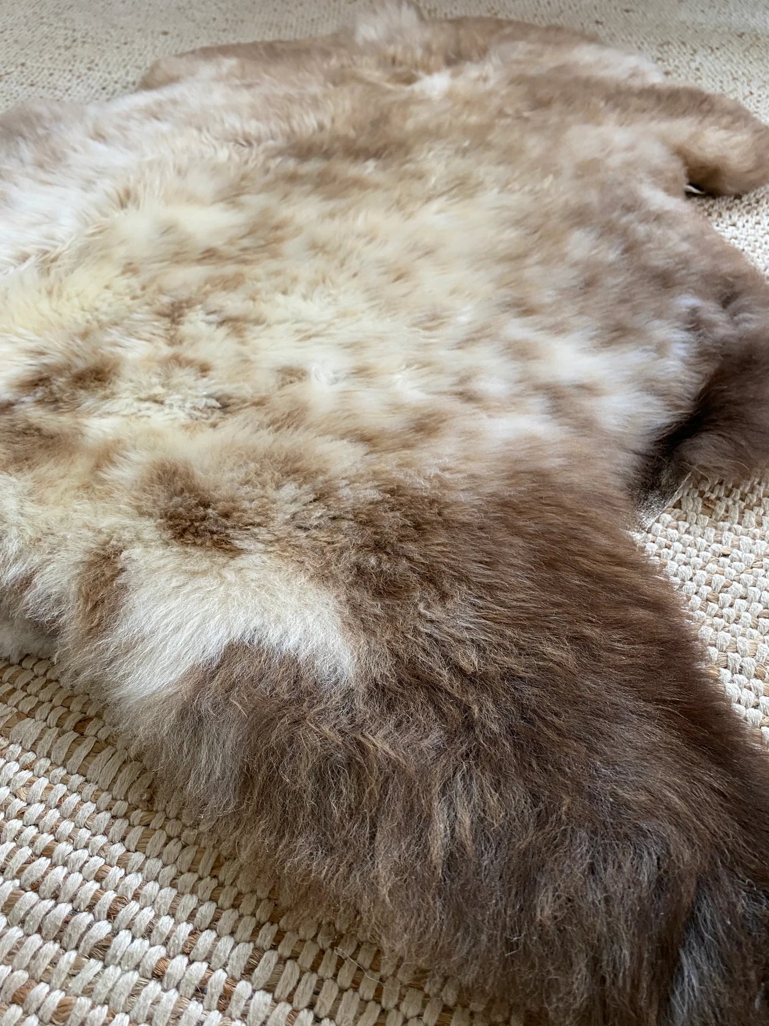 side view of mixed color super soft sheepskin 