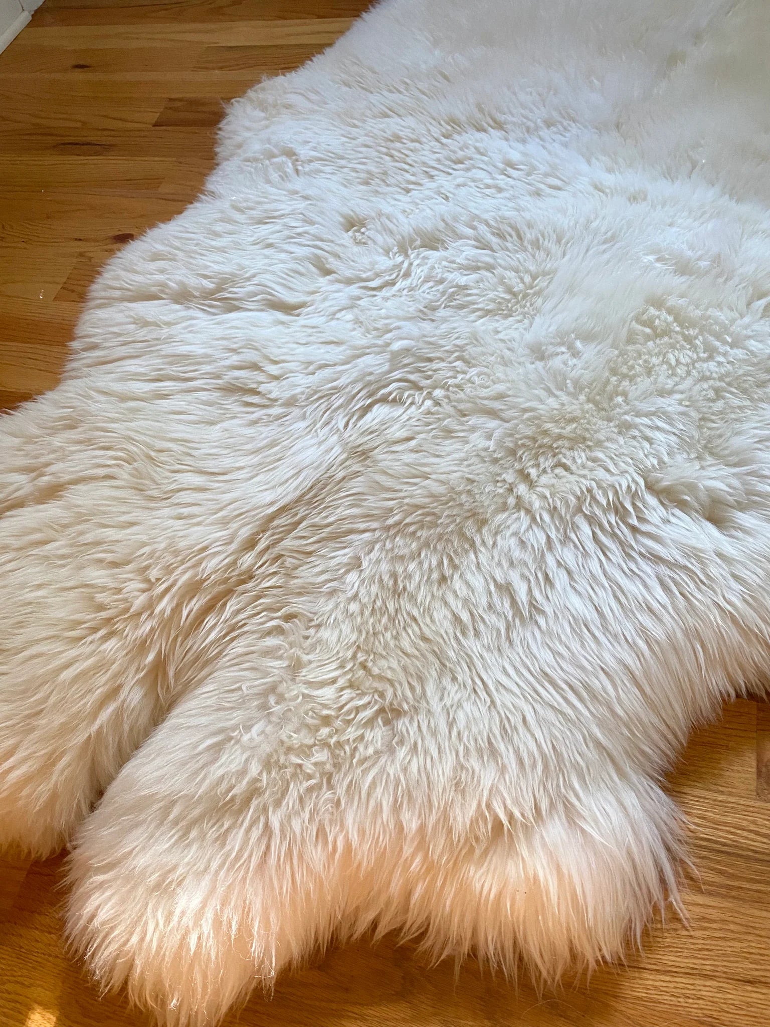 Side-view of plush quad pelt ivory sheepskin 