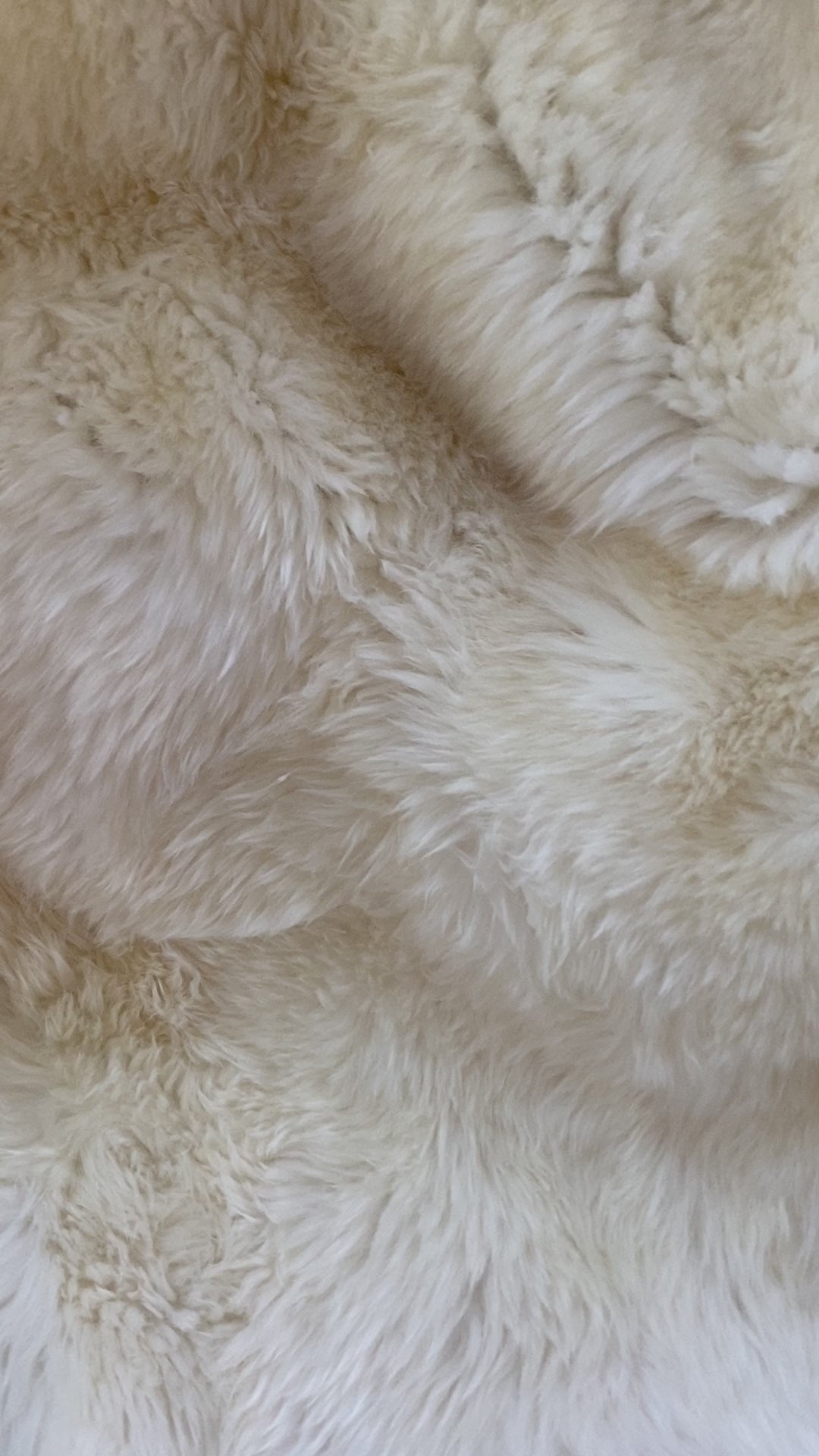 Sacred Spaces: Plush Ivory Sexto