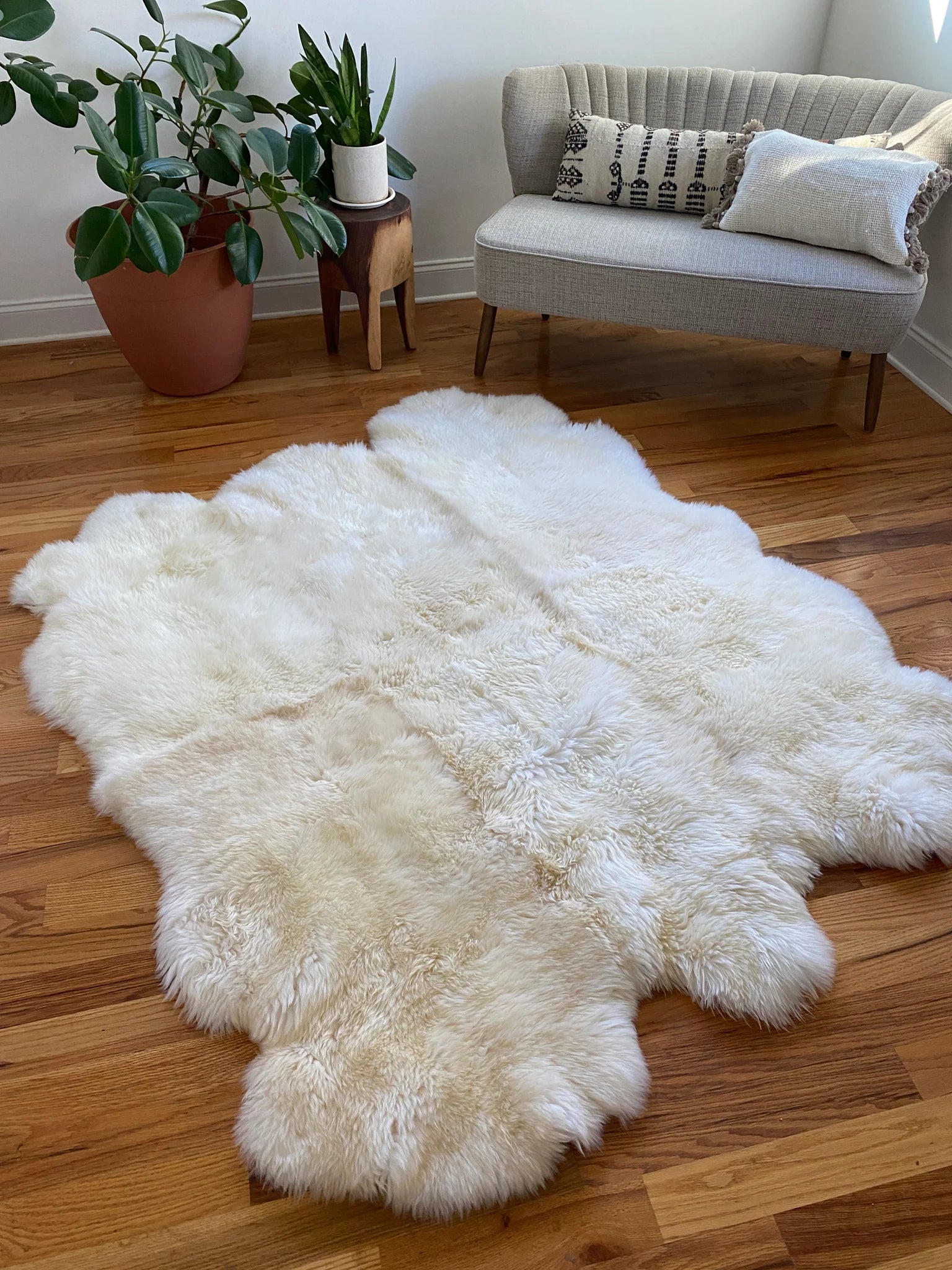 Ivory sheepskin rug laid on a wooden floor beside a beige sofa and indoor plants