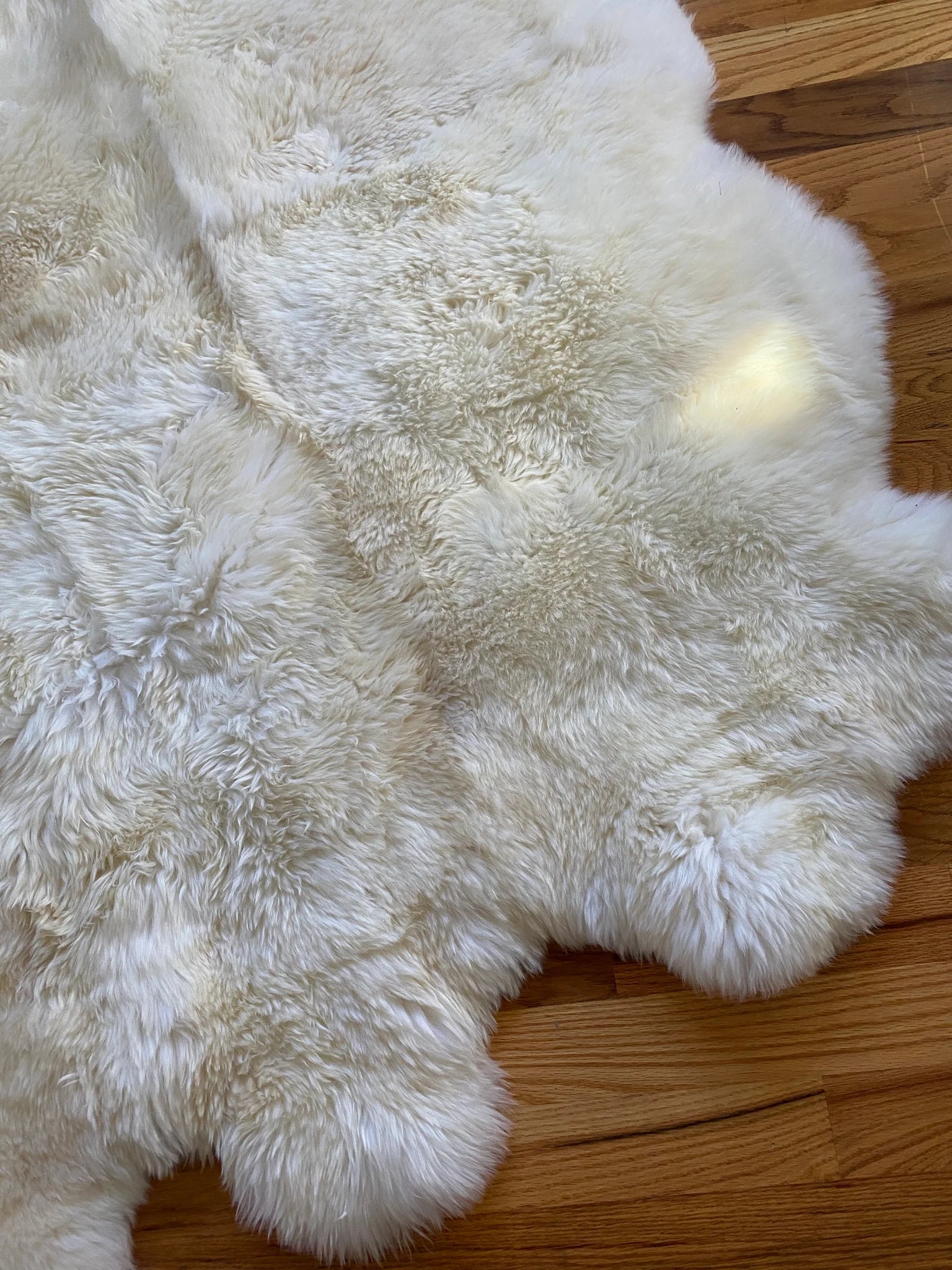 Corner view of rug highlighting fluffy edges and creamy tones