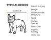 List of typical breeds for dogs less than 21 inches with a line drawing of a French Bulldog.