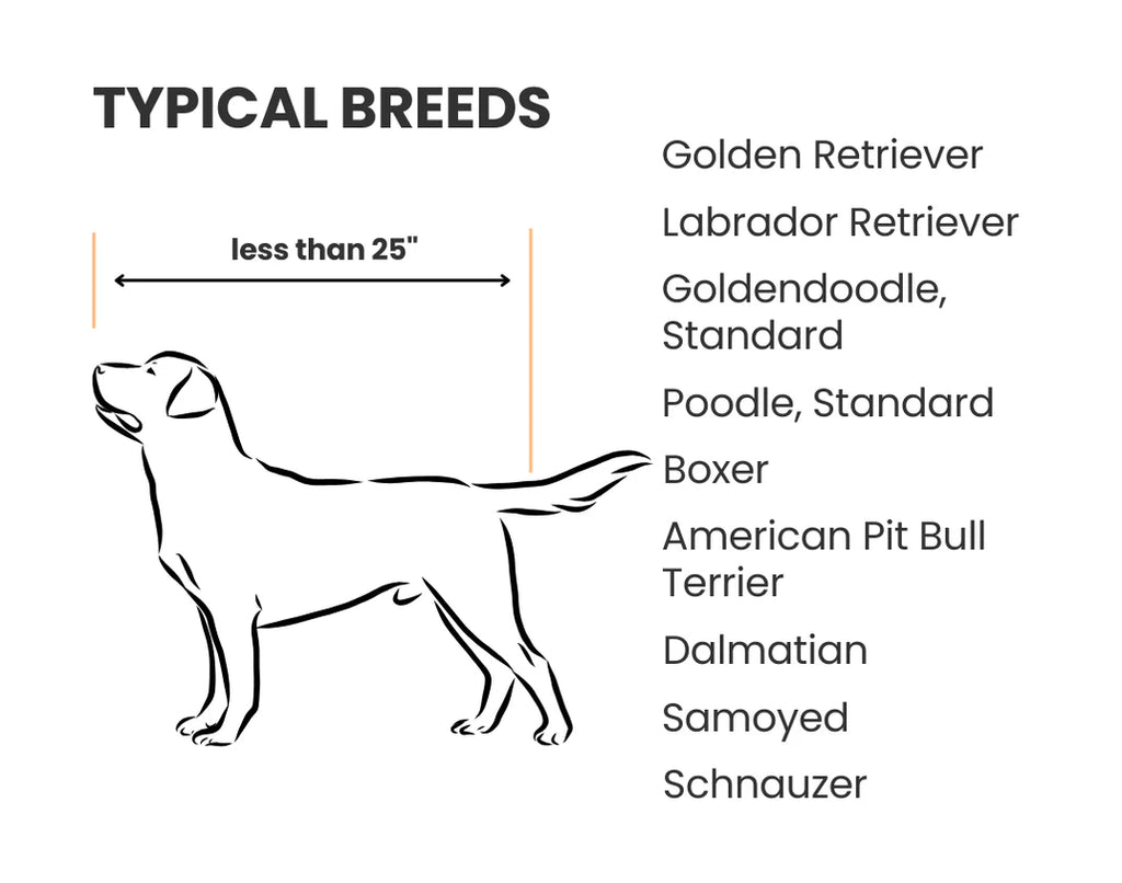 Diagram of a dog with height measurement and list of typical breeds