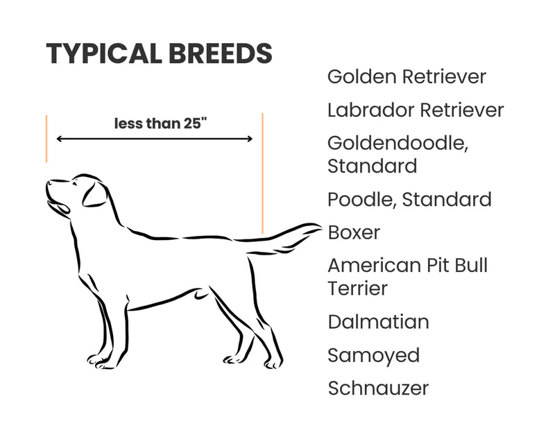 Diagram of a dog with height measurement and list of typical breeds