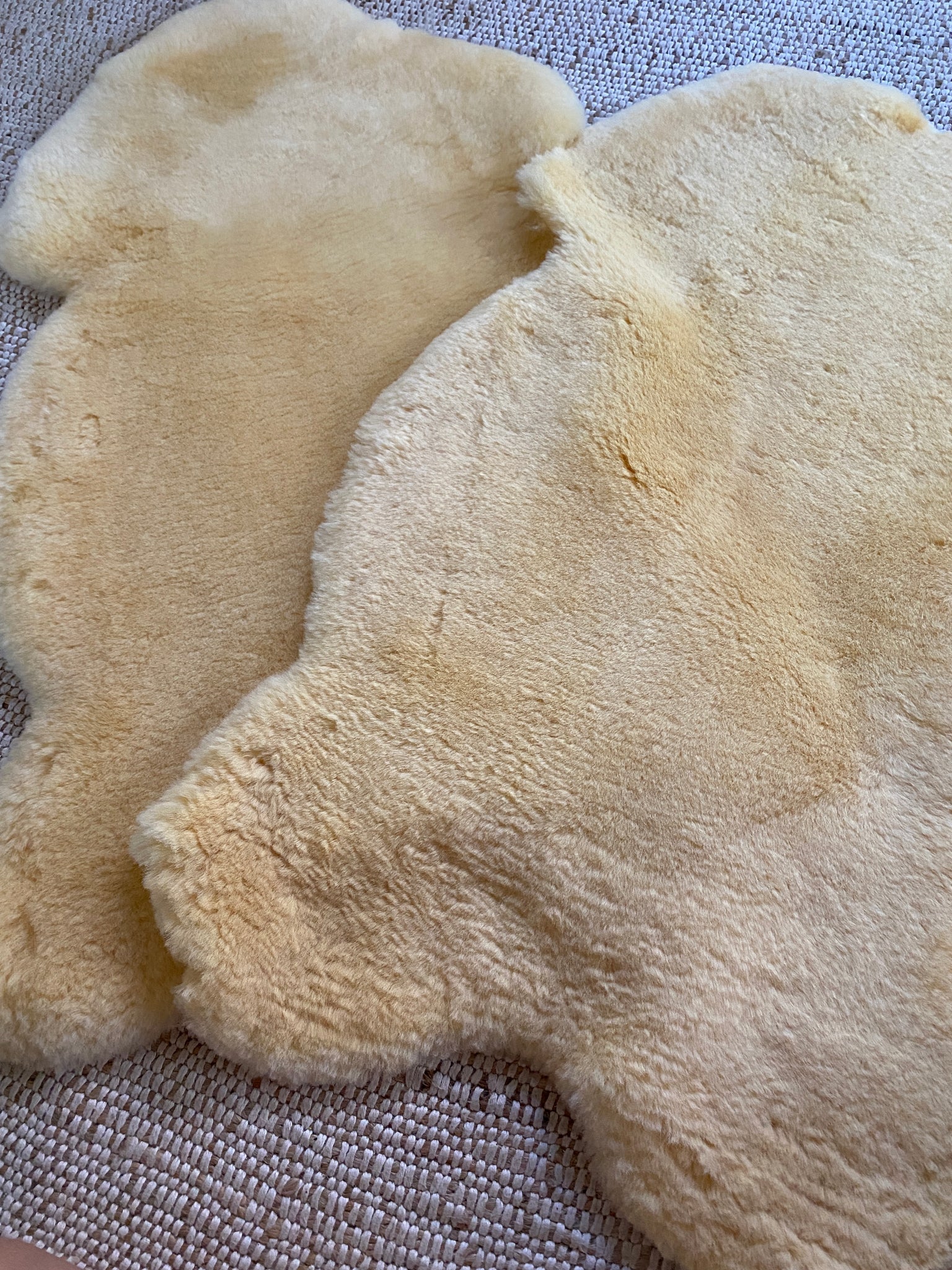Close-up of sheepskin for dogs