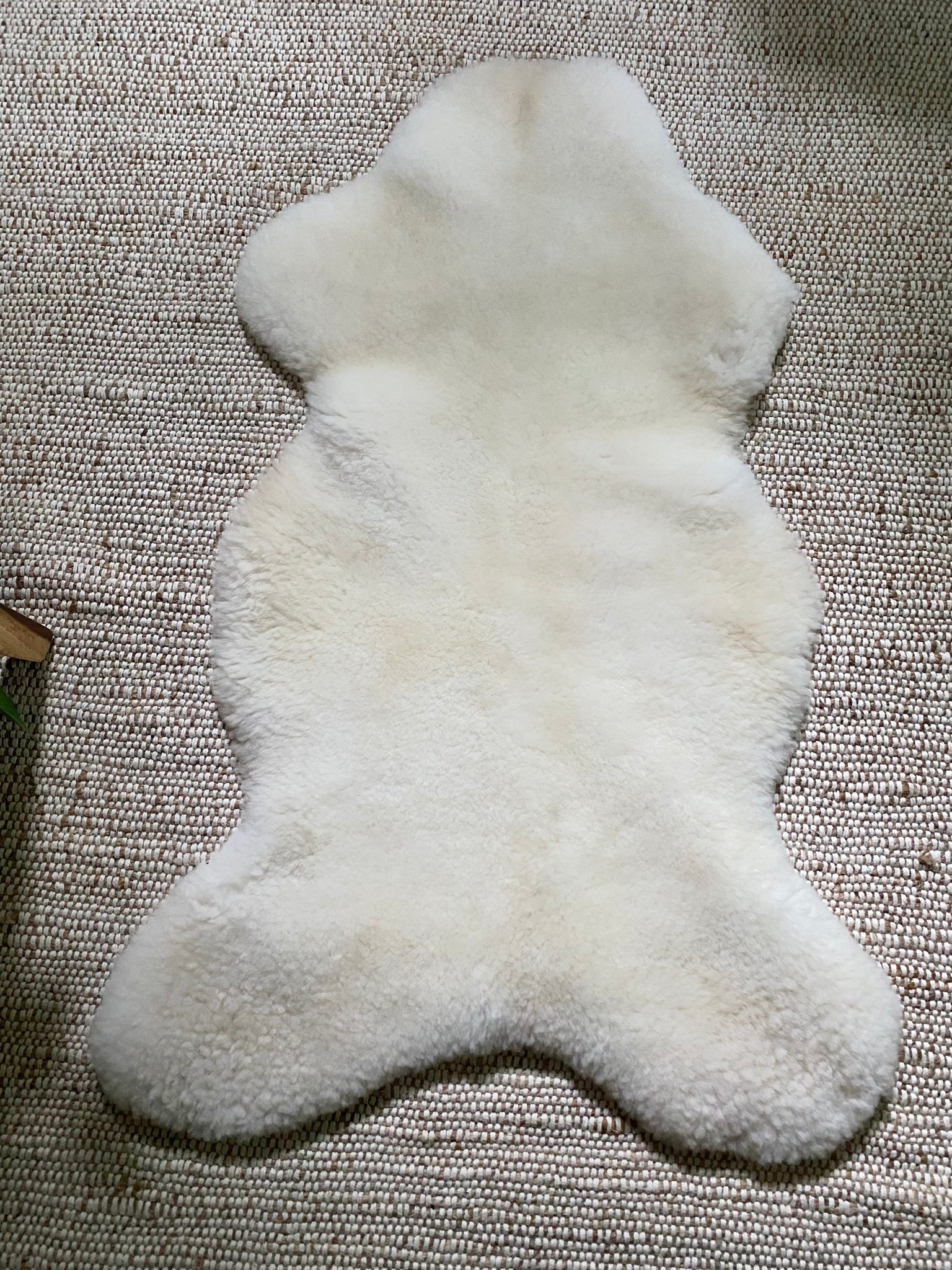 Top-view of short fur ivory sheepskin