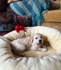 Puppy lying in snugly short fur sheepskin dog bed