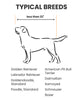 Diagram of a dog with height measurement 