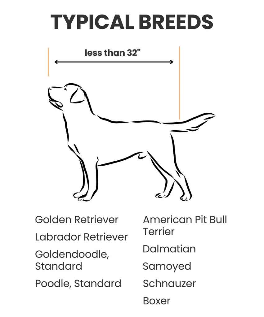 Diagram of a dog with height measurement 