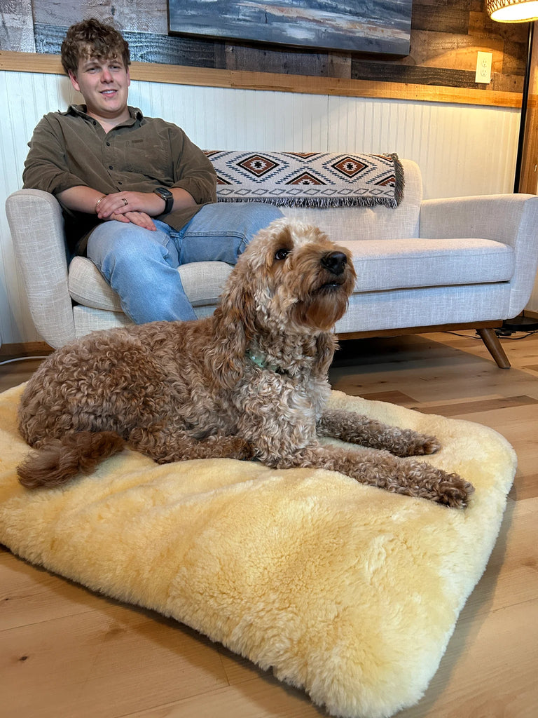 Man sitting on a couch with a dog lying on the puppad
