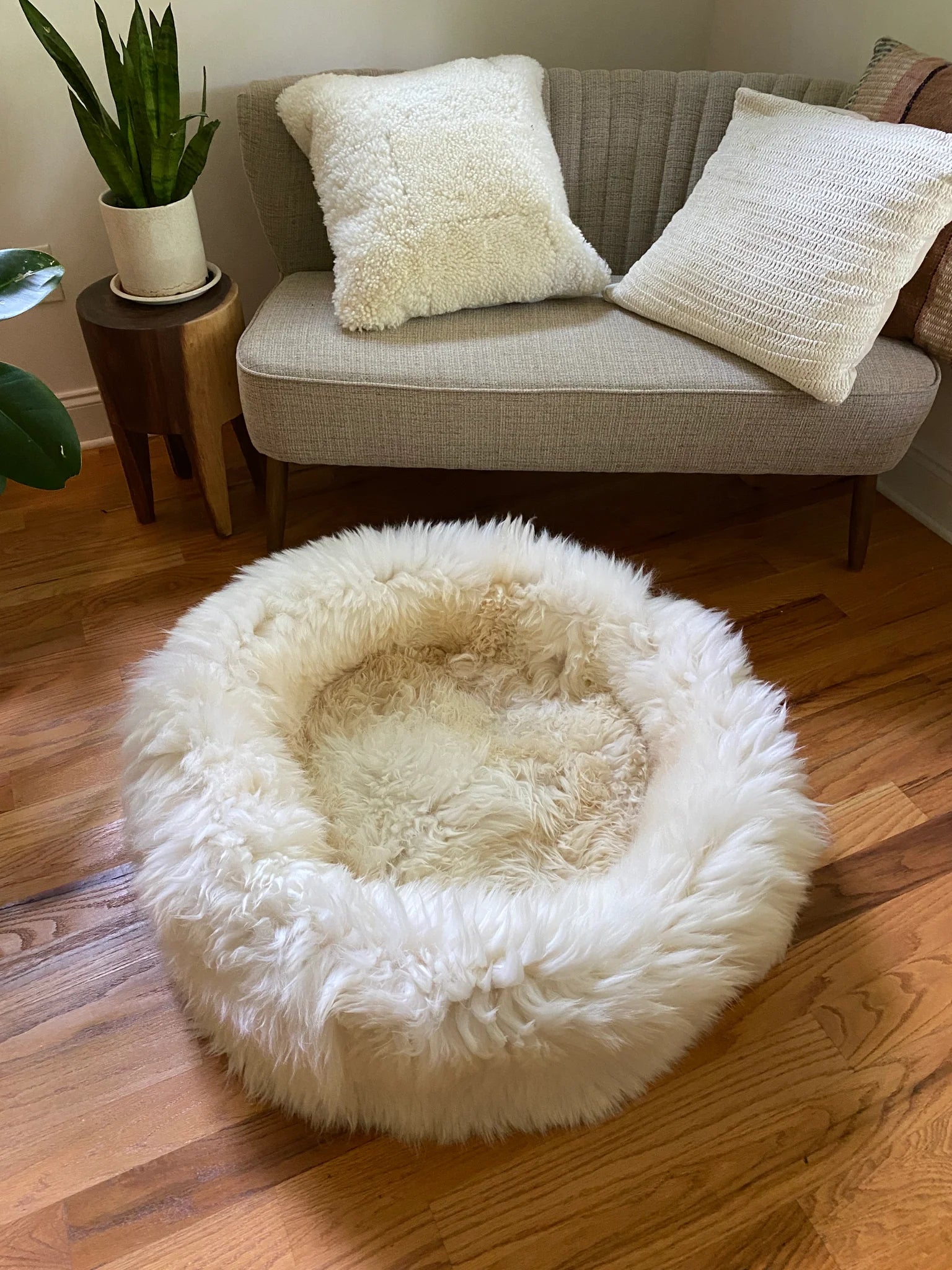 Fluffy pet bed